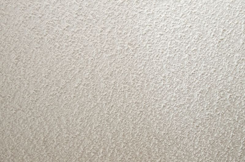 Popcorn Ceiling Repair detail